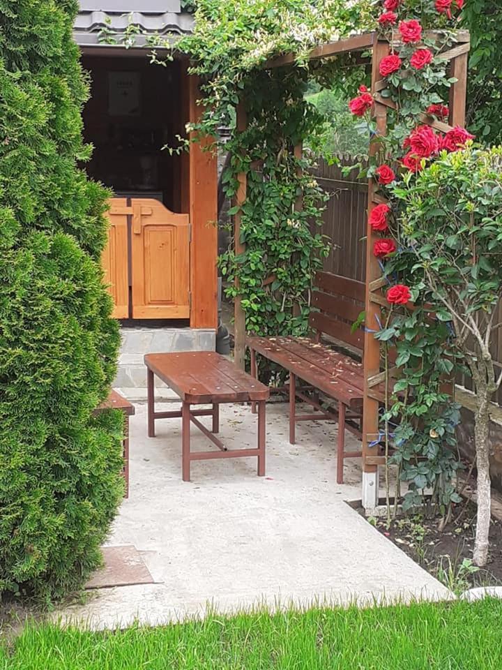 Casa Fetic Daire Nehoiu Dış mekan fotoğraf