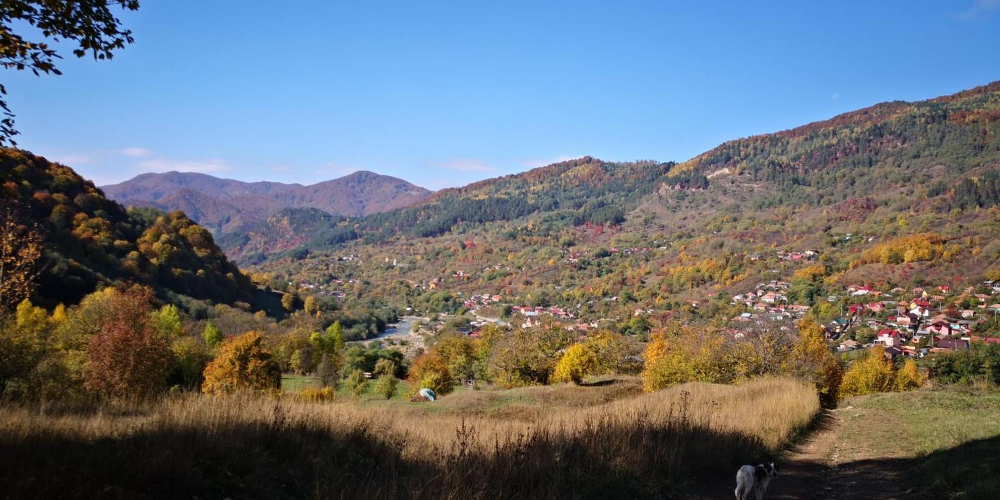 Casa Fetic Daire Nehoiu Dış mekan fotoğraf