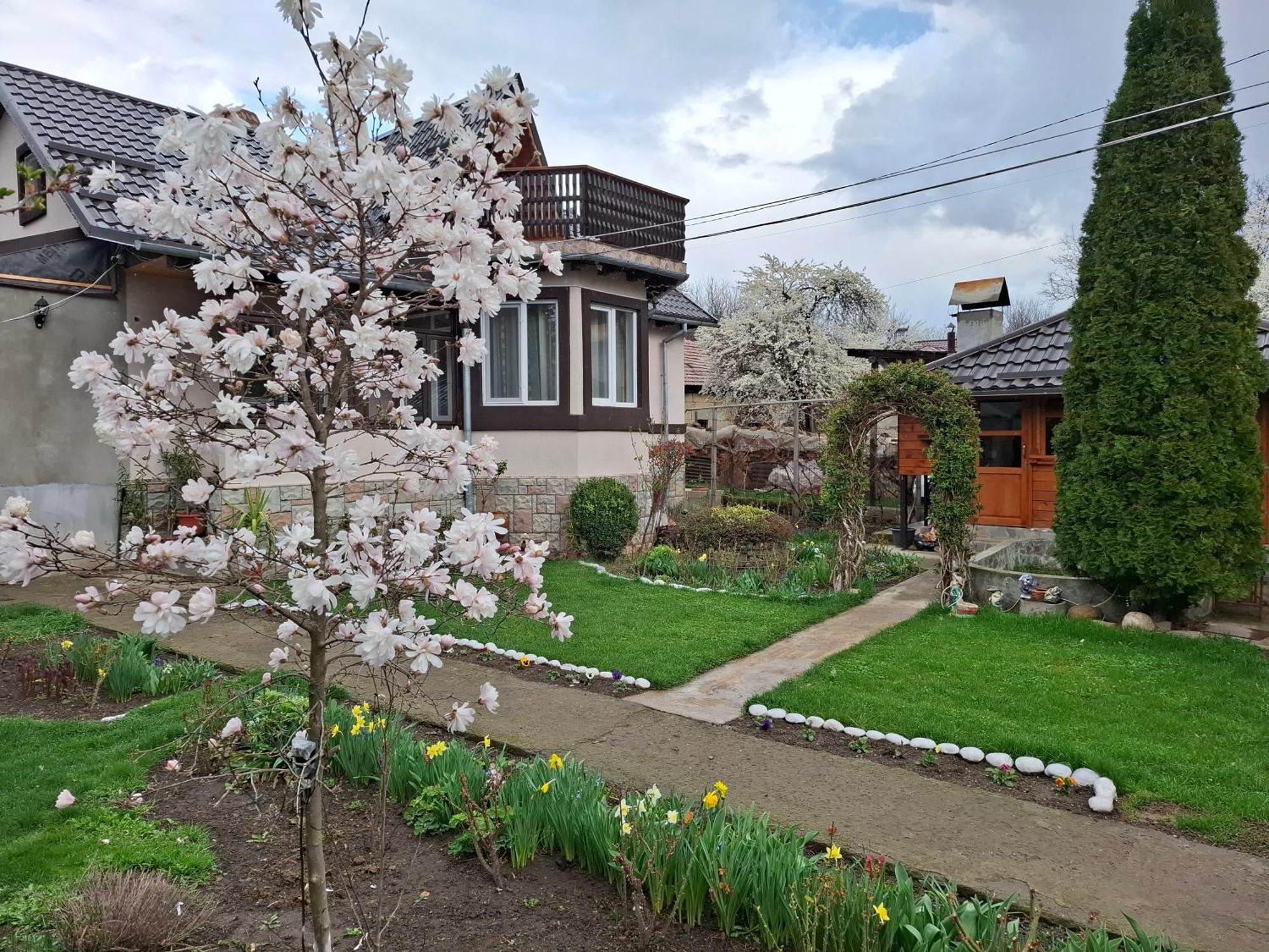 Casa Fetic Daire Nehoiu Dış mekan fotoğraf