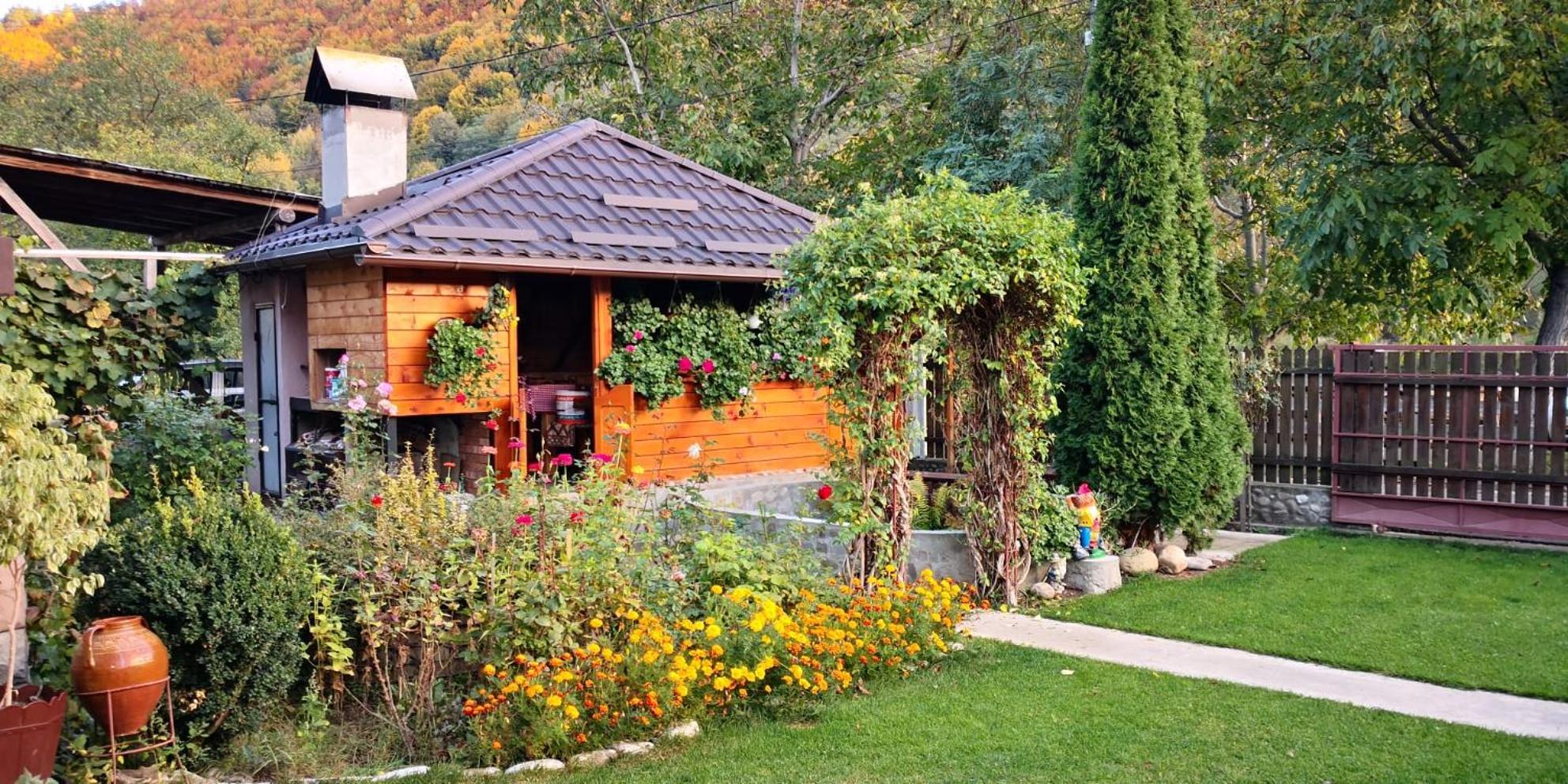 Casa Fetic Daire Nehoiu Dış mekan fotoğraf
