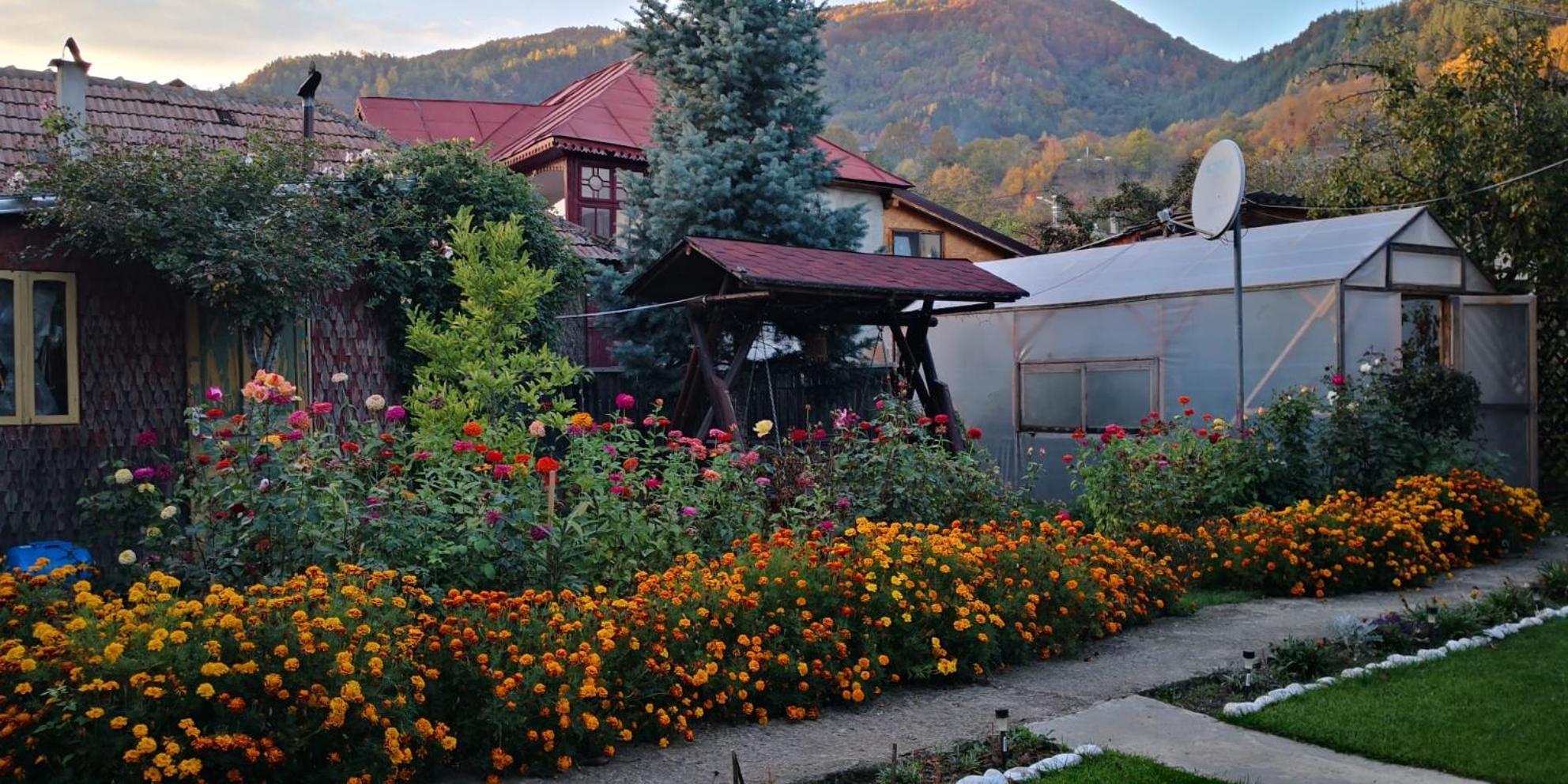 Casa Fetic Daire Nehoiu Dış mekan fotoğraf