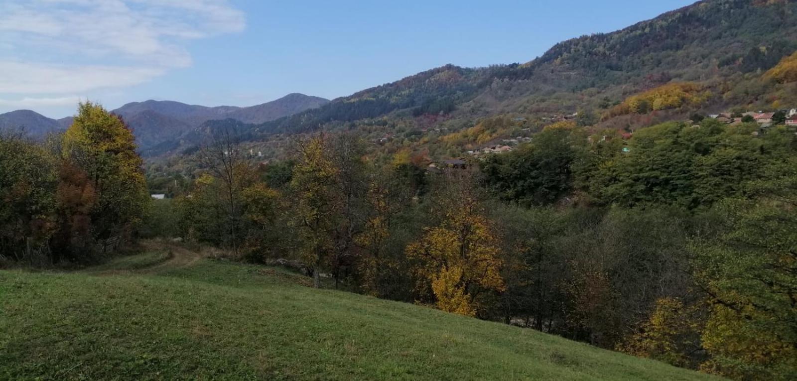 Casa Fetic Daire Nehoiu Dış mekan fotoğraf