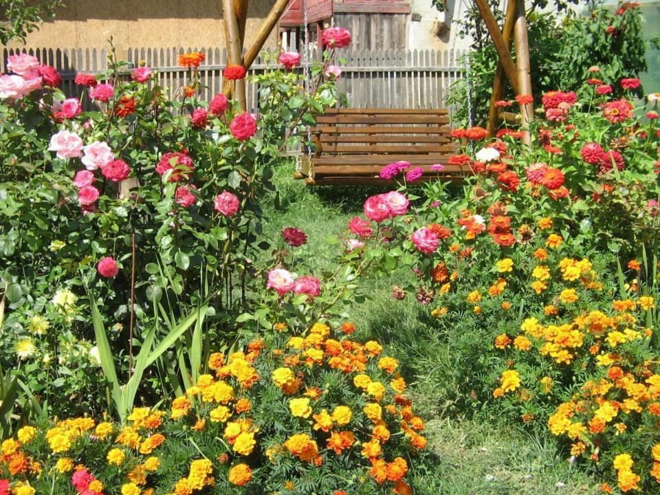 Casa Fetic Daire Nehoiu Dış mekan fotoğraf