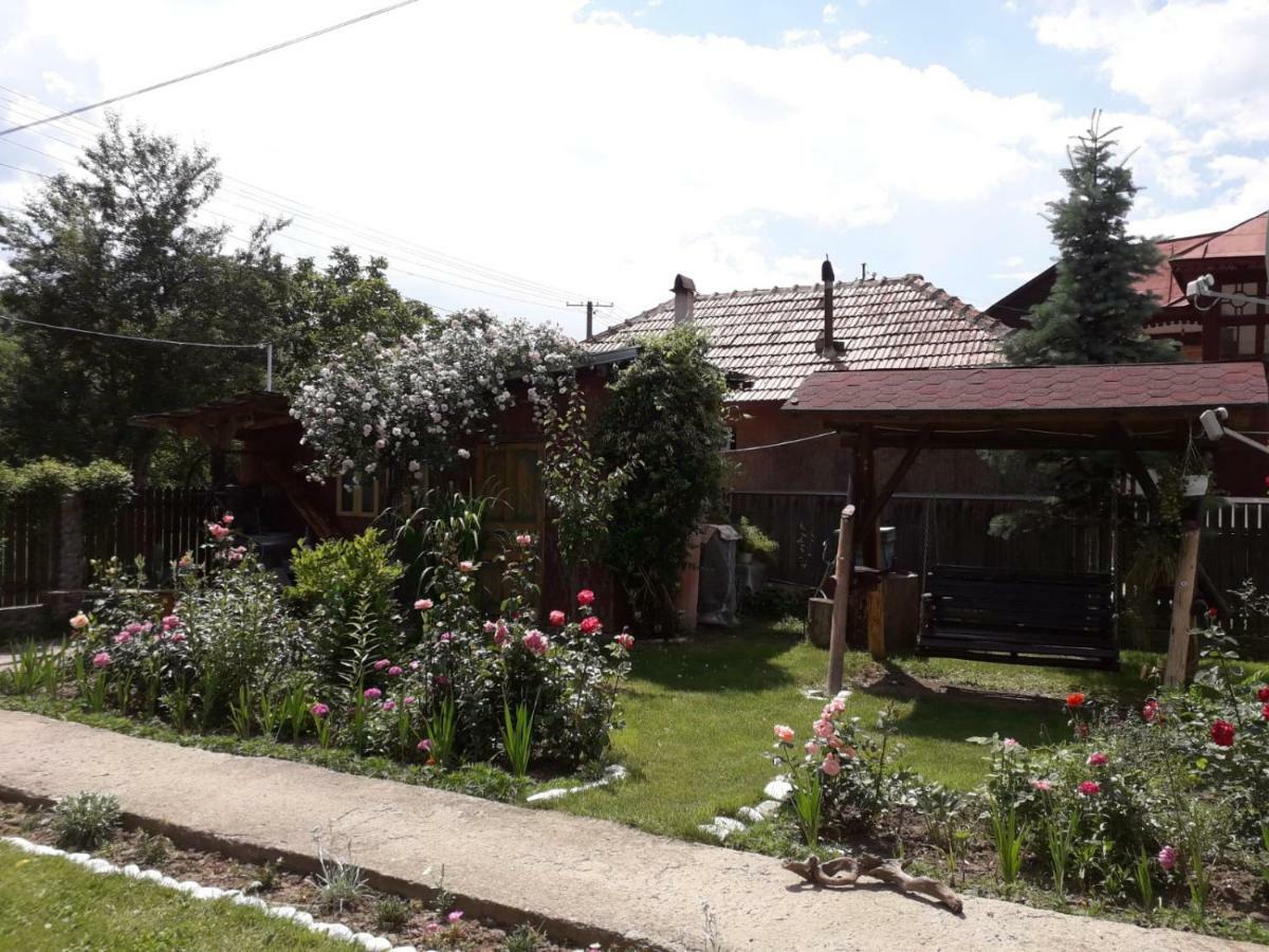Casa Fetic Daire Nehoiu Dış mekan fotoğraf