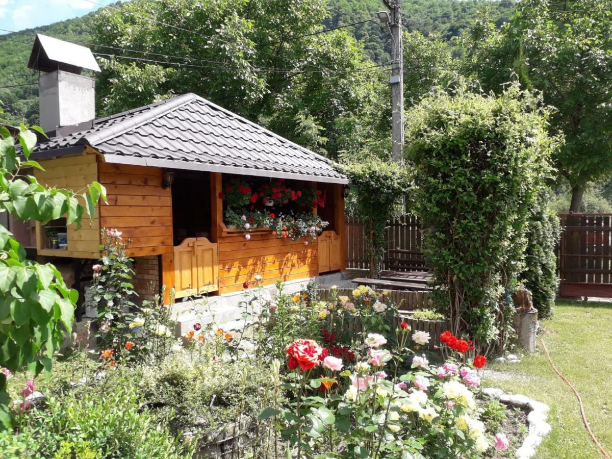 Casa Fetic Daire Nehoiu Dış mekan fotoğraf