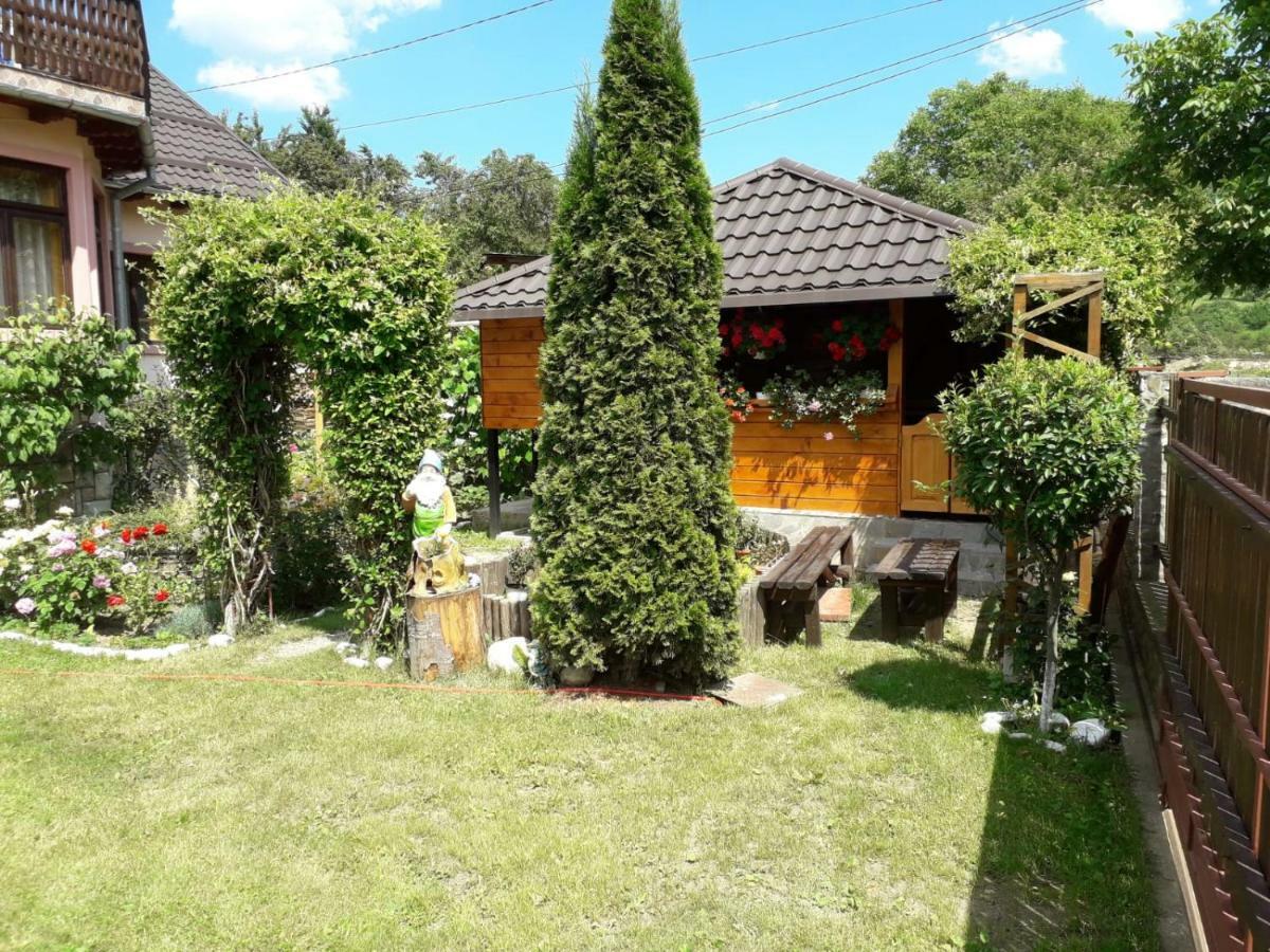 Casa Fetic Daire Nehoiu Dış mekan fotoğraf