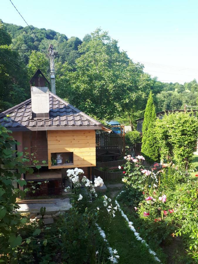 Casa Fetic Daire Nehoiu Dış mekan fotoğraf